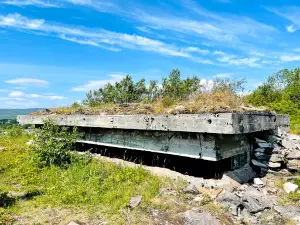 Evenestangen kystbatteri