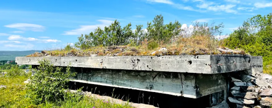 Evenestangen kystbatteri
