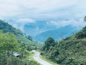 Vườn Sâm Ngọc Linh - Tu mơ rông