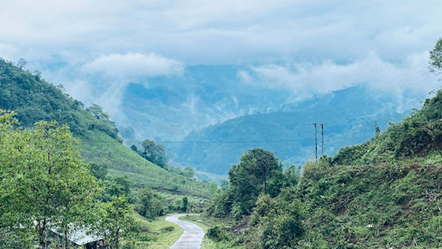 Vườn Sâm Ngọc Linh - Tu mơ rông