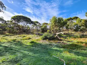 Dead Mans Pass Reserve