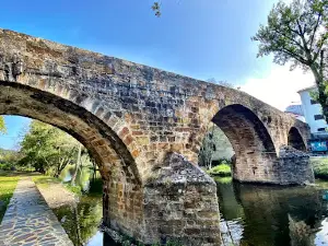 Ponte Real (pont Royal)