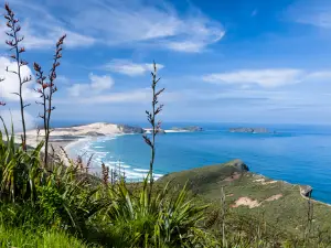 Seaview point