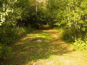 Boulder Piretikivi