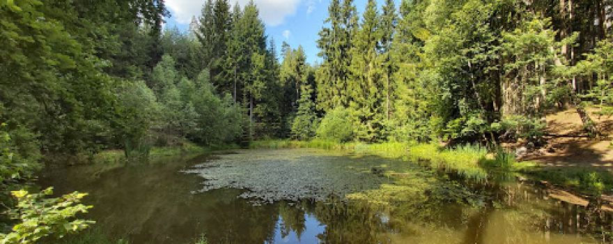 Miniaturpark Mühltal
