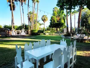 Rancho Las Palmas