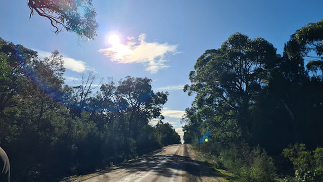 Plantation Campground