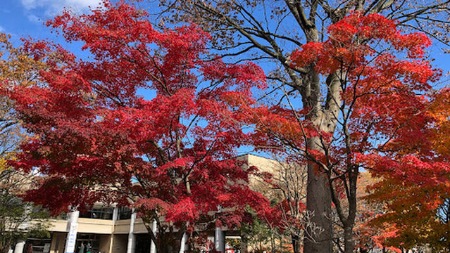 Oshushi Bunkakaikan Z Hall