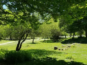 El Achichuelo