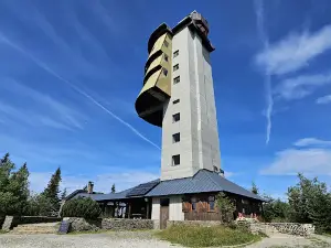 Poledník