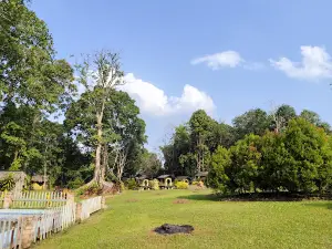 Manau Kuning