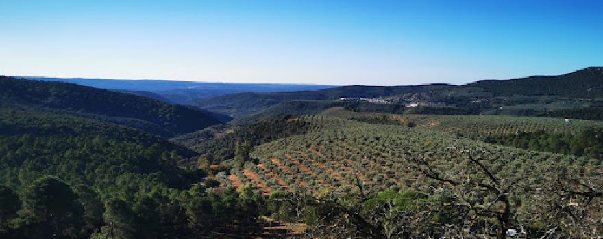 Abrigo De Peña Escrita