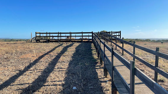 Monumento Megalítico da Pedra Branca