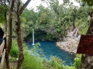 Miradores del Ranco Falls