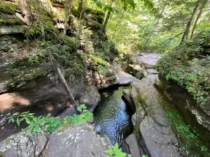 Grassmere Park Campground