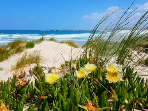 Praia de Peniche de Cima