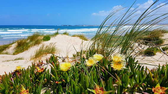 Praia de Peniche de Cima
