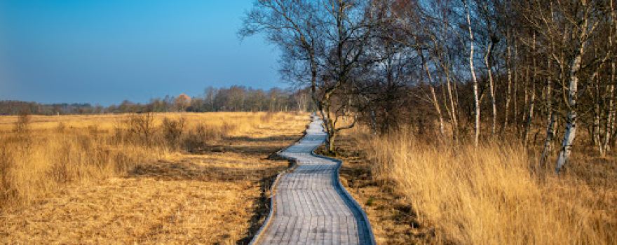 Zugang Rundweg Ewiges Meer
