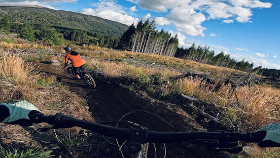 Uenuku Pines Mountain Bike Park