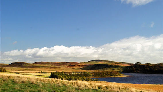 Greenlee Lough