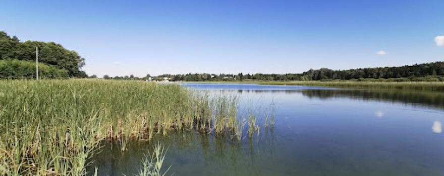 Pole kempingowe Pod Klonami ciche i spokojne