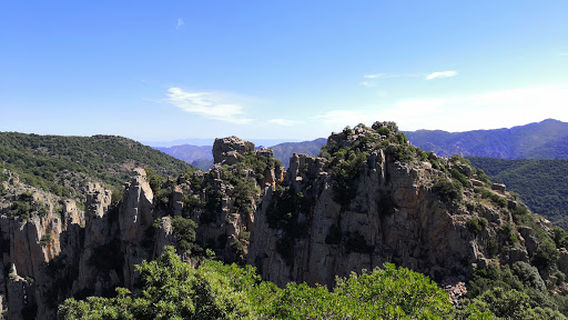 Foresta di Is Cannoneris