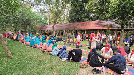 Forest City Attractions Bungin