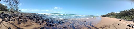 Mon Repos Conservation Park