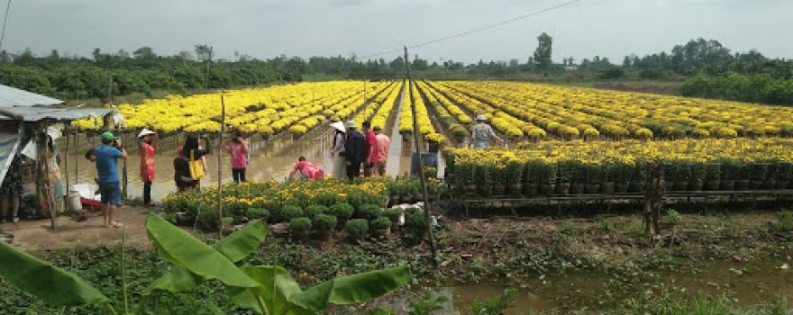 Sân vận động Tân Khánh Đông