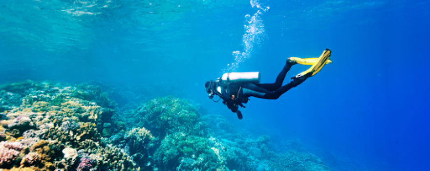 Ypsylon Diving (Nilaveli)