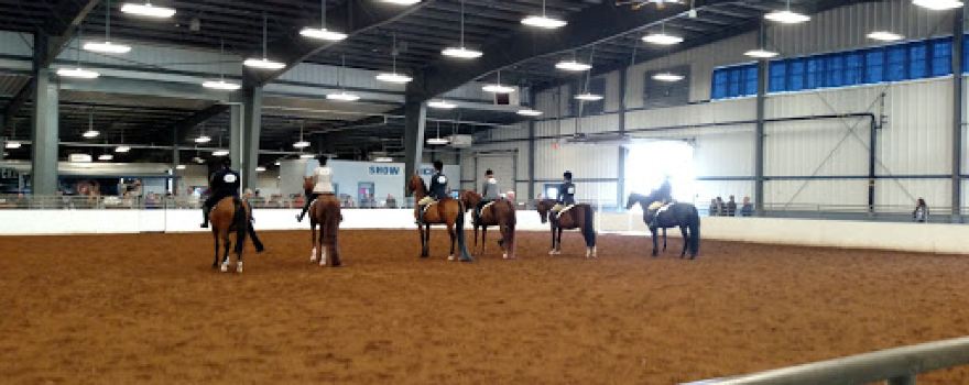 Buffalo Raceway