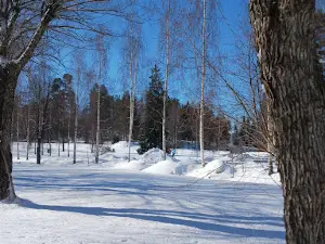 Simpeleen Tehtaanpuisto