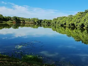 Ecological Park, "Mayor Wilson Lozano"