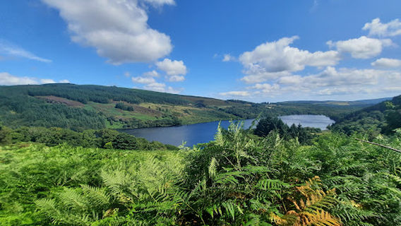 위클로 웨이 캠핑