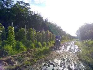 Semparung Karti