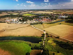 Umflutehle-Külzauer Forst