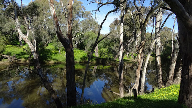 Campaspe River Reserve
