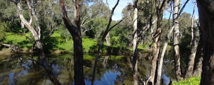 Campaspe River Reserve