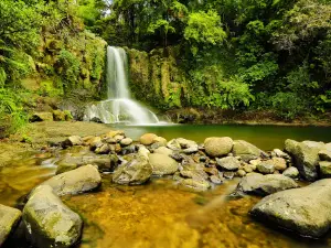 Waiau Falls