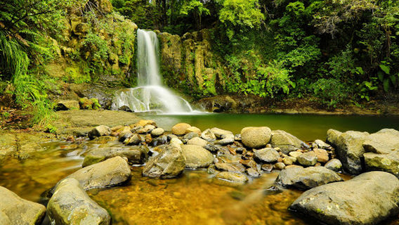 Waiau Falls