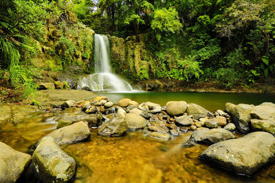 Waiau Falls