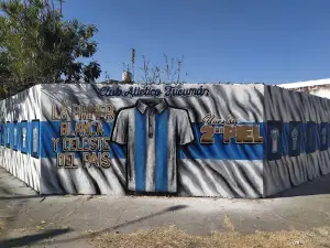 Estadio Monumental Presidente Jose Fierro