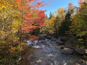 Roaring Brook Campground