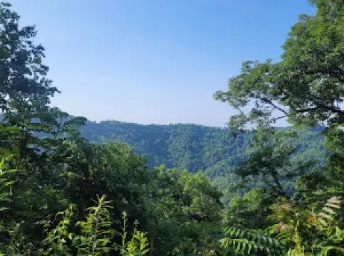 Buffalo Mountain Trailhead