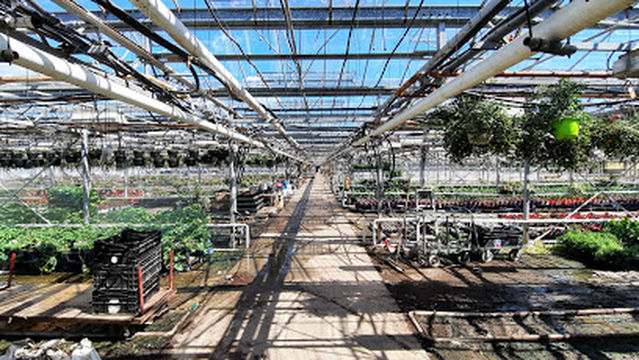 Serres Magog (2010) (Thermo-Pat Inc.)