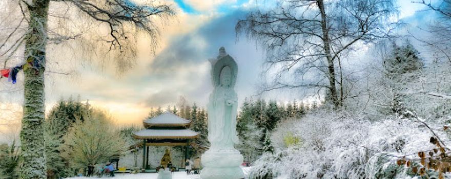 Buddhas Weg