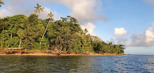 Hong Kong to Moala Island Flights