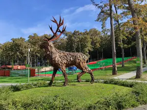 Alsóerdei Sport- és Élménypark