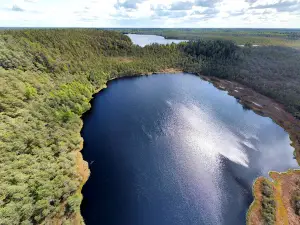 Uljaste matkarada