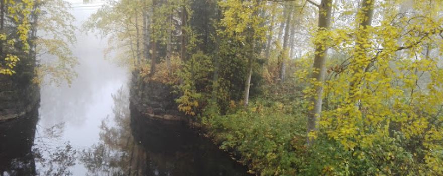 Community Park